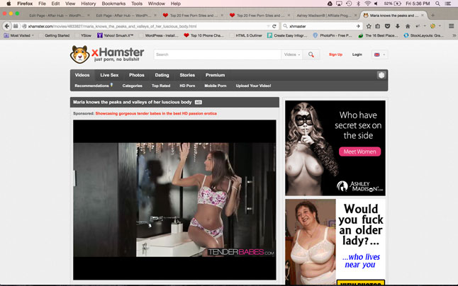 Porn video on xHamster's website
